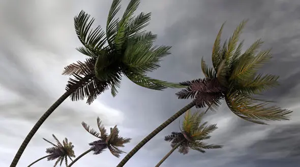 The Fury of Hurricane Melissa: Jamaica Under Siege