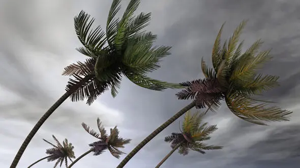 The Fury of Hurricane Melissa: Jamaica Under Siege