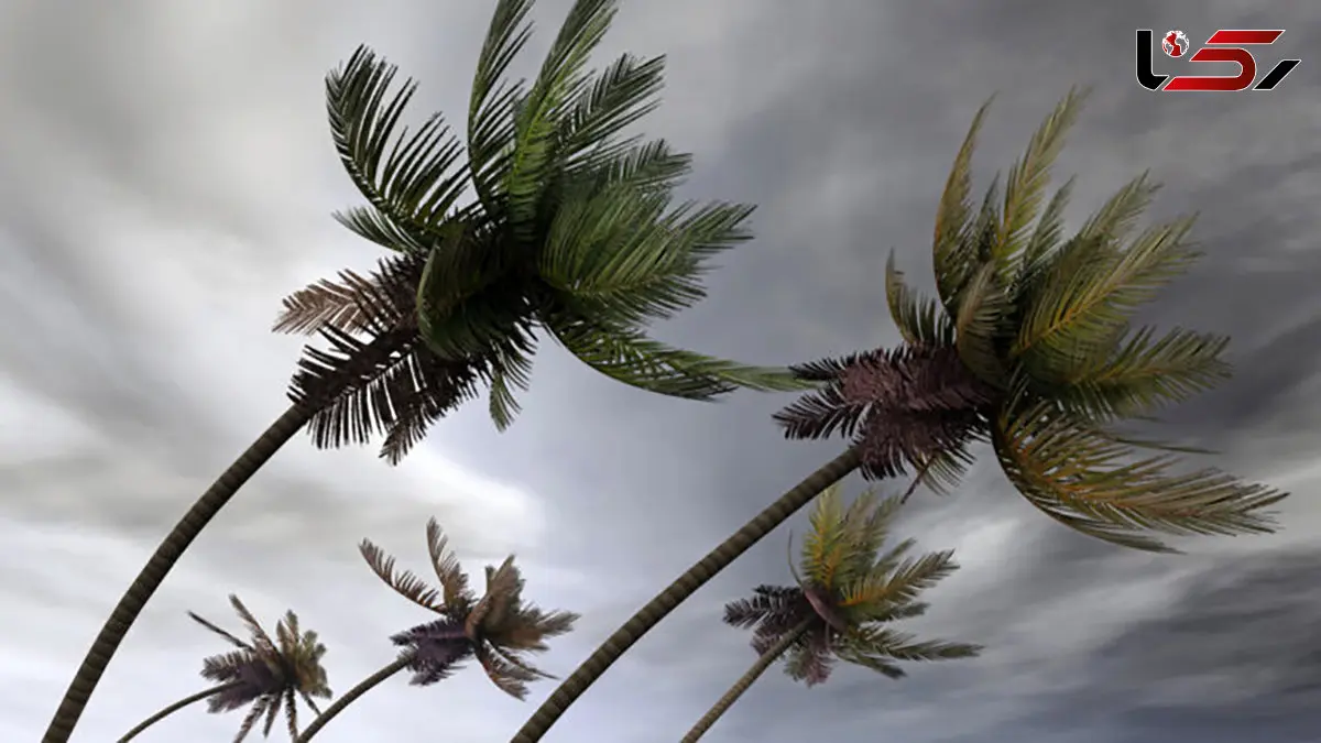 طوفان ملیسا جامائیکا را در محاصره قرار داد 