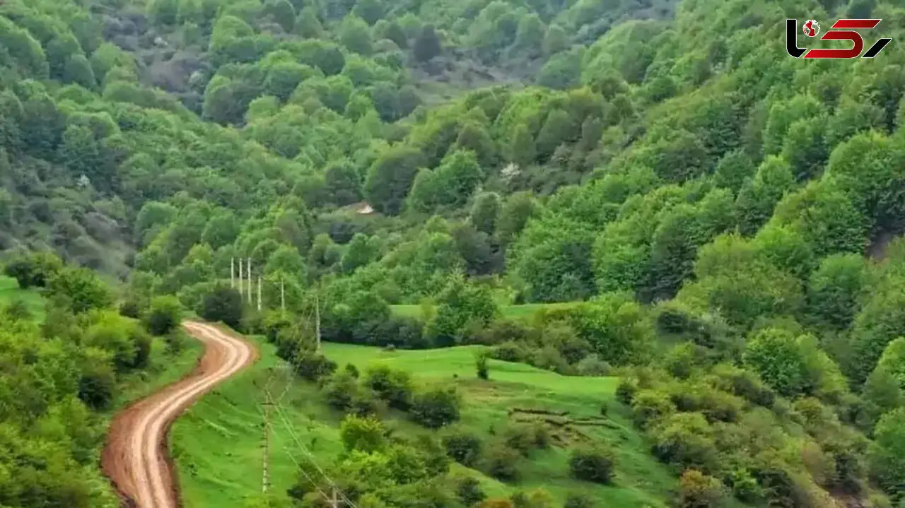 داماش؛ روستایی بالاتر از ابرها / راهنمای کامل سفر به ییلاق رودبار
