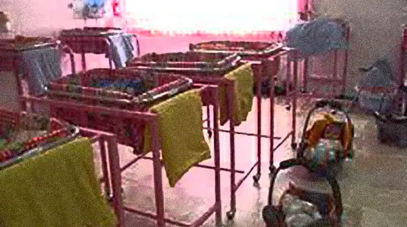 رها ‌شدن ماهانه ۶٠ نوزاد در مشهد
