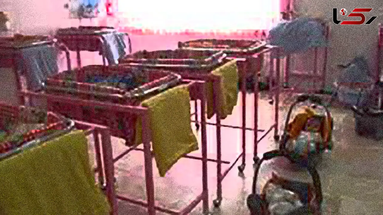 رها ‌شدن ماهانه ۶٠ نوزاد در مشهد
