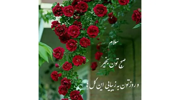 فال و طالع بینی روزانه 7 آذر + فیلم