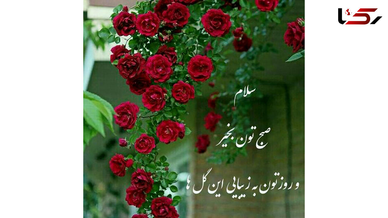 فال و طالع بینی روزانه 7 آذر + فیلم