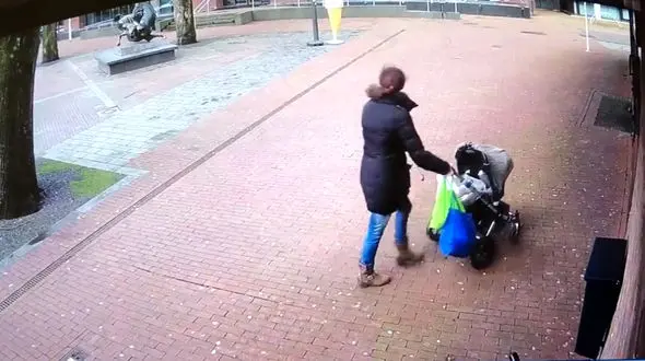 سقوط درخت تنومند در یک قدمی مادر و فرزند + فیلم