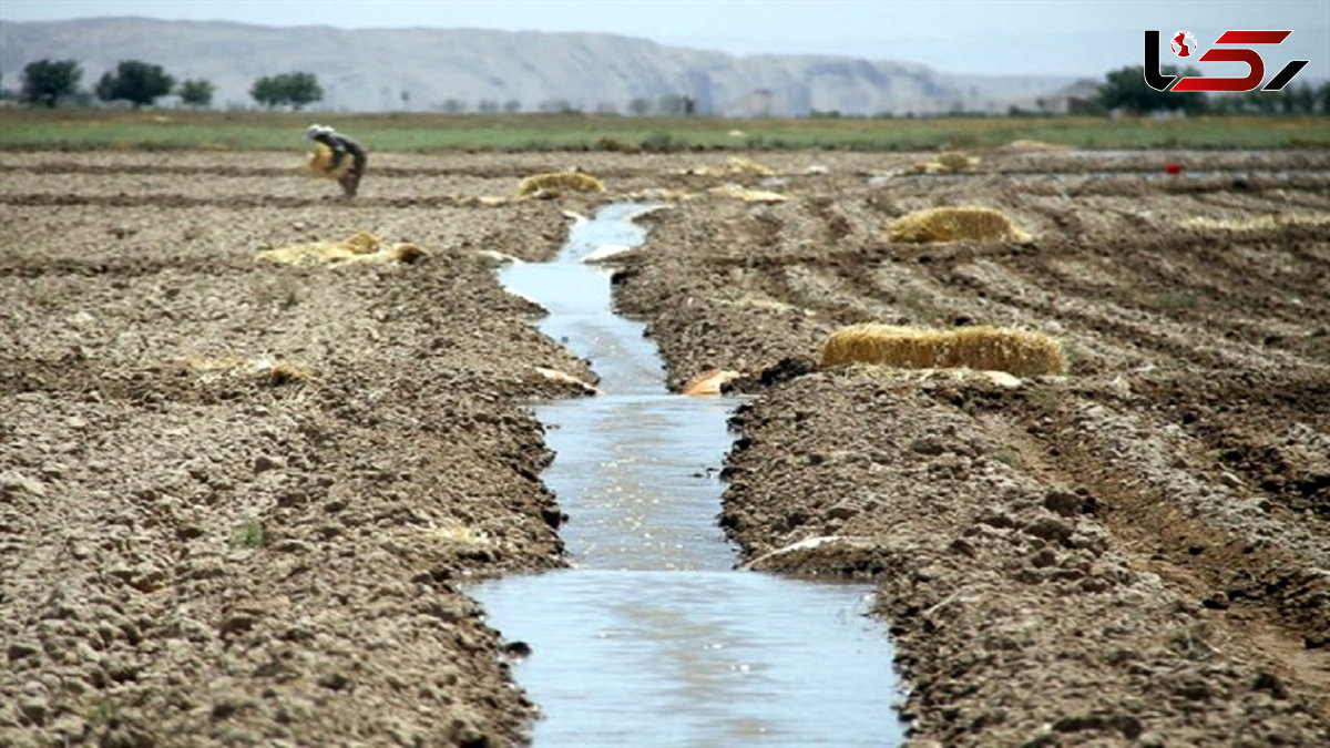 فاجعه در راندمان آب کشاورزی ایران نسبت به جهان / 900گرم محصول به ازای هر مترمکعب در برابر 2.5 کیلوگرم