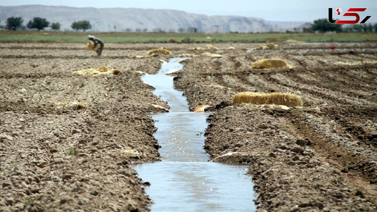 فاجعه در راندمان آب کشاورزی ایران نسبت به جهان / 900گرم محصول به ازای هر مترمکعب در برابر 2.5 کیلوگرم