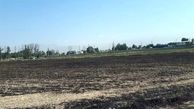 آتش سوزی مزارع دو کوهه رشنو پلدختر؛ ۸ هکتار از دسترنج کشاورزان لرستان سوخت