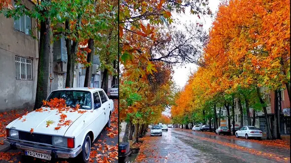 ببینید / پاییز زیبا شهرستان ملایر + فیلم 