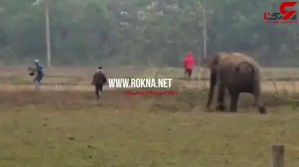 فرار جوان هندی از سلفی مرگبار+فیلم