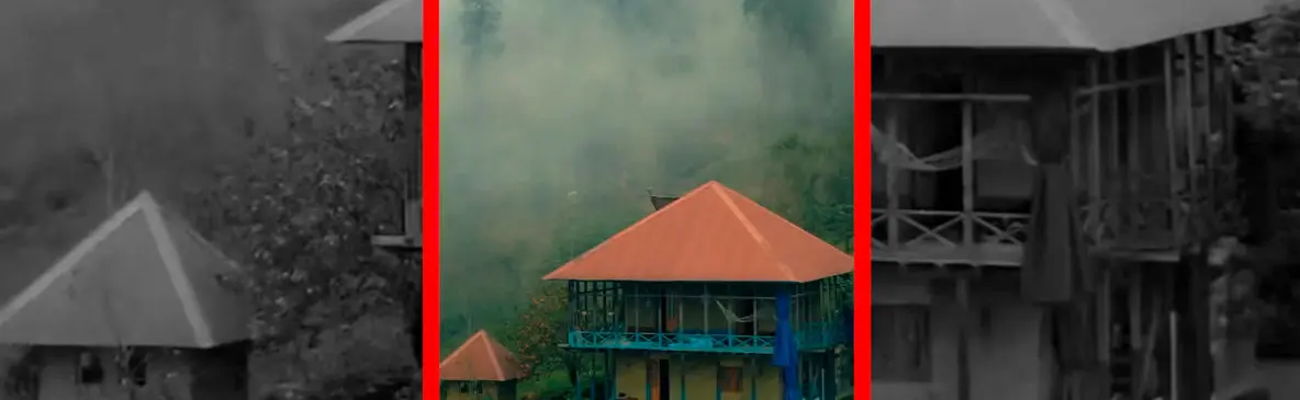 فیلم هوای مه آلود در جنگل های گیلان