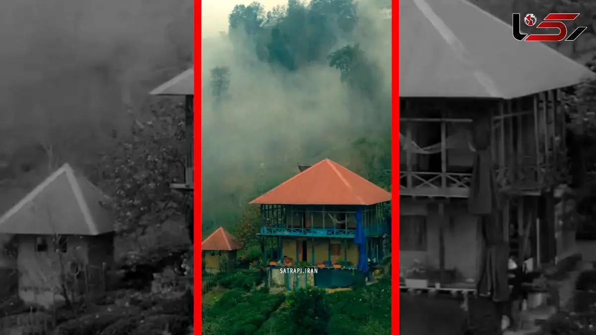 فیلم هوای مه آلود در جنگل های گیلان