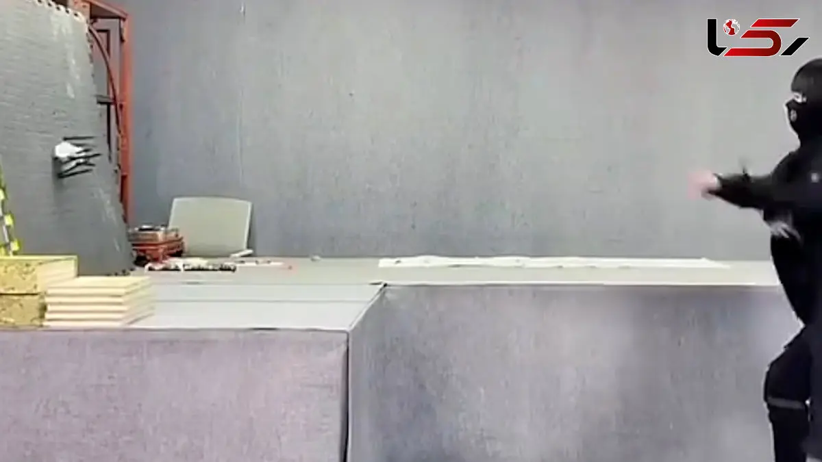 فیلم مهارت باورنکردنی شمشیرزن حرفه ای