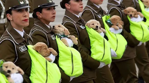 عکسی جالب از رژه ماموران پلیس زن