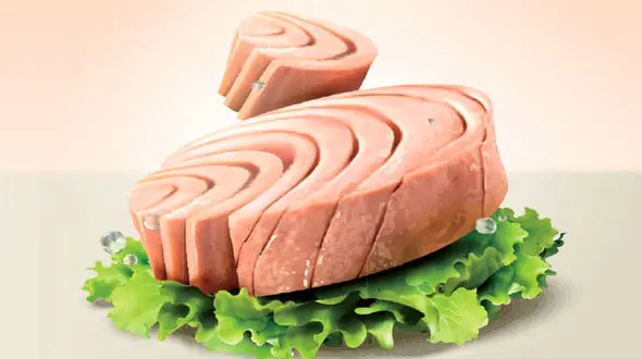 کنسرو ماهی یا تن ماهی؟ 