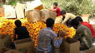 صادرات میوه و تره‌بار به کشورهای حاشیه خلیج‌فارس اندک است