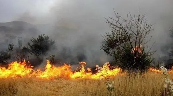 حریق زمین کشاورزی جان کشاورز ۷٠ ساله را در سوق گرفت 