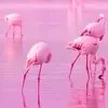 دو جای زیبا از ایران