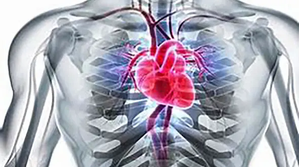راهکارهای طبیعی برای تقویت قلب