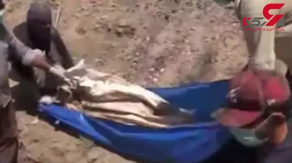 کشف چند گور جمعی در سوریه + فیلم 