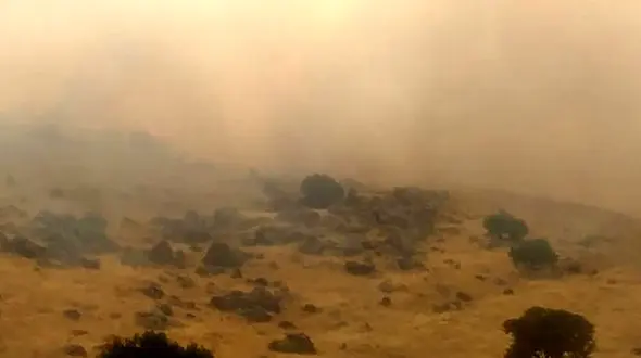 مادران ایران زمین در تلاش برای مهار آتش سوزی جنگل های مریوان + فیلم 