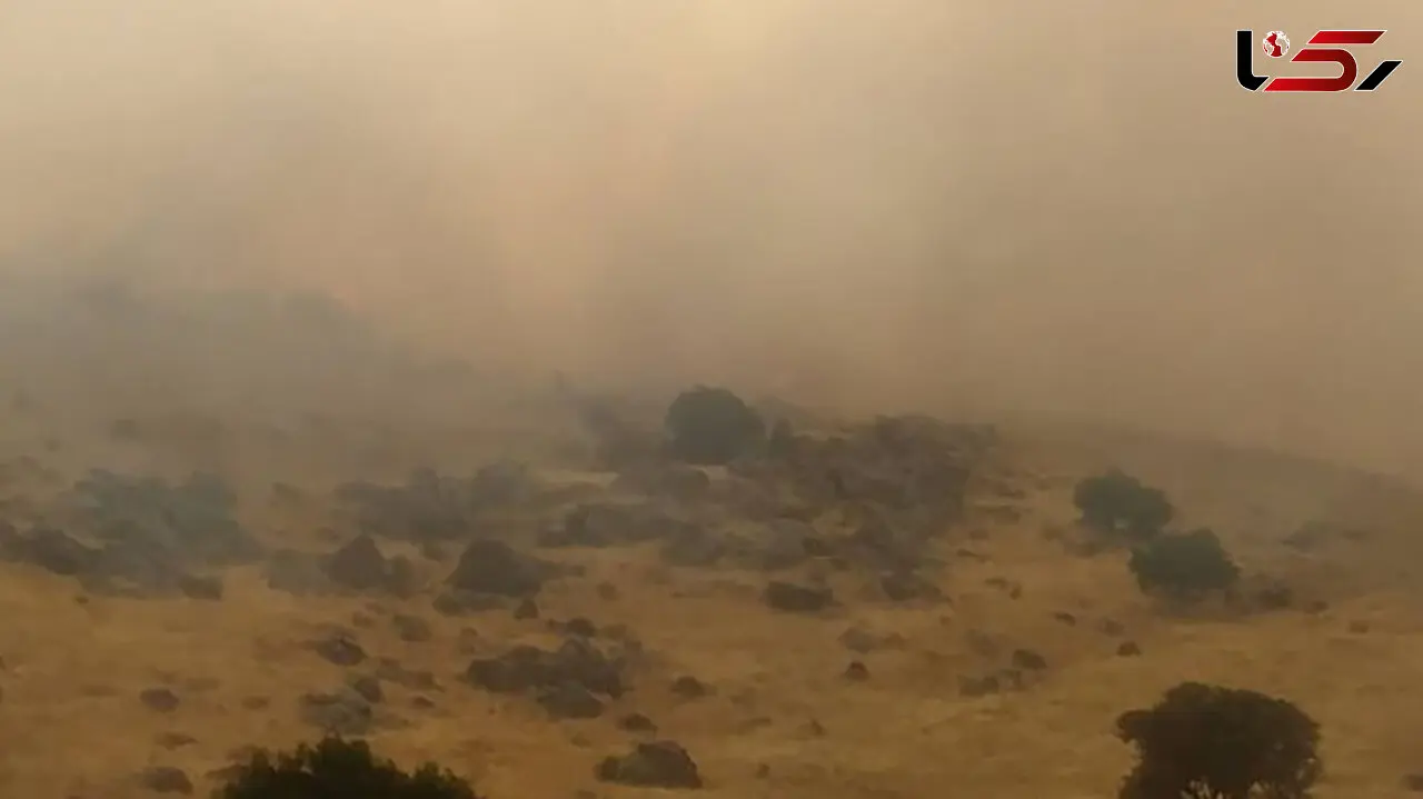 مادران ایران زمین در تلاش برای مهار آتش سوزی جنگل های مریوان + فیلم 