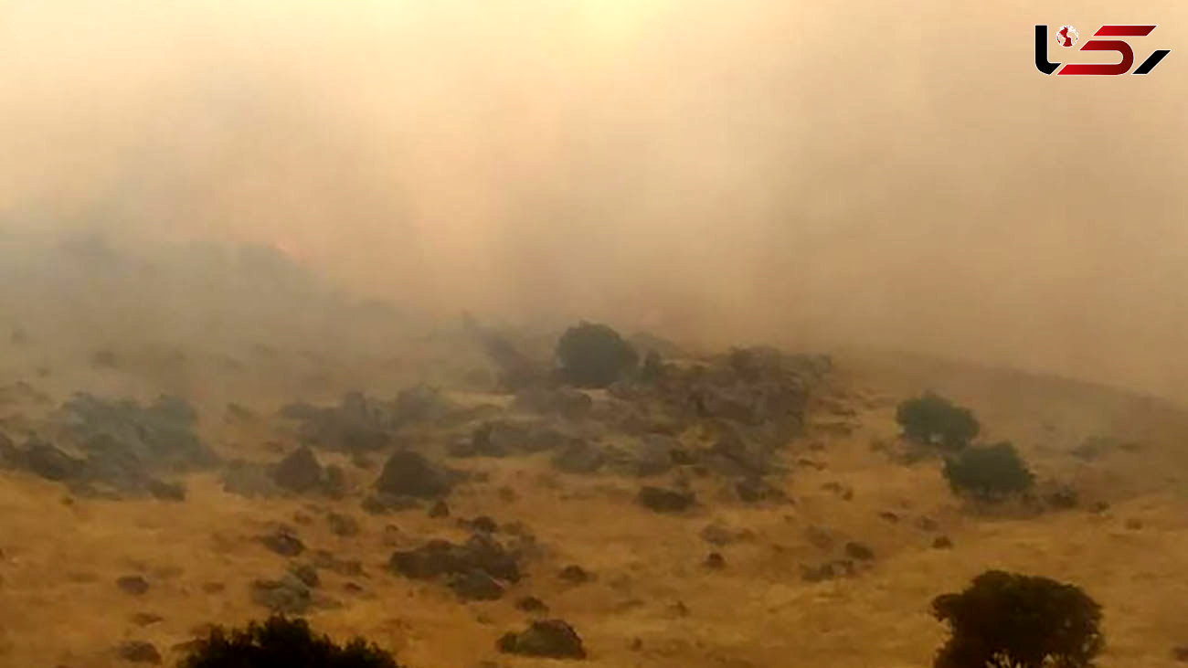 مهار آتش سوزی پناهگاه حیات وحش بیستون / ارتفاع آتش به ۵ متر می رسید