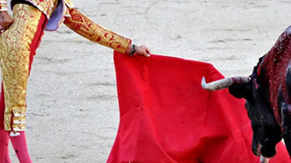 از پسر بچه خرابکار تا مسابقات گاوبازی