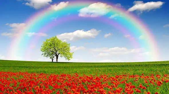 فال امروز 17 بهمن شما دوست عزیز