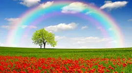 فال امروز 17 بهمن شما دوست عزیز