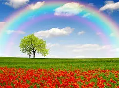 فال امروز 17 بهمن شما دوست عزیز