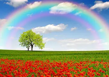 فال امروز 17 بهمن شما دوست عزیز