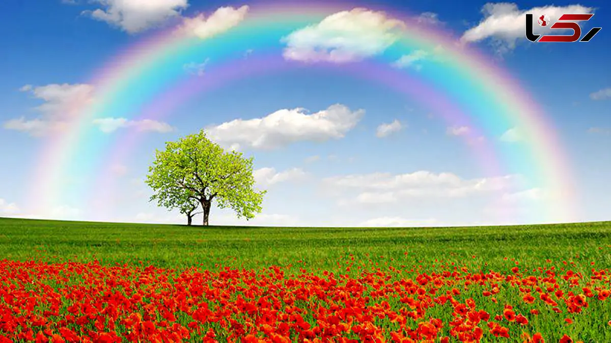 فال امروز 17 بهمن شما دوست عزیز