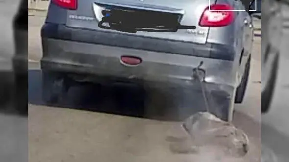 حیوان‌آزاری وحشتناک در رامیان / مرد بی رحم دستگیر شد  + عکس 