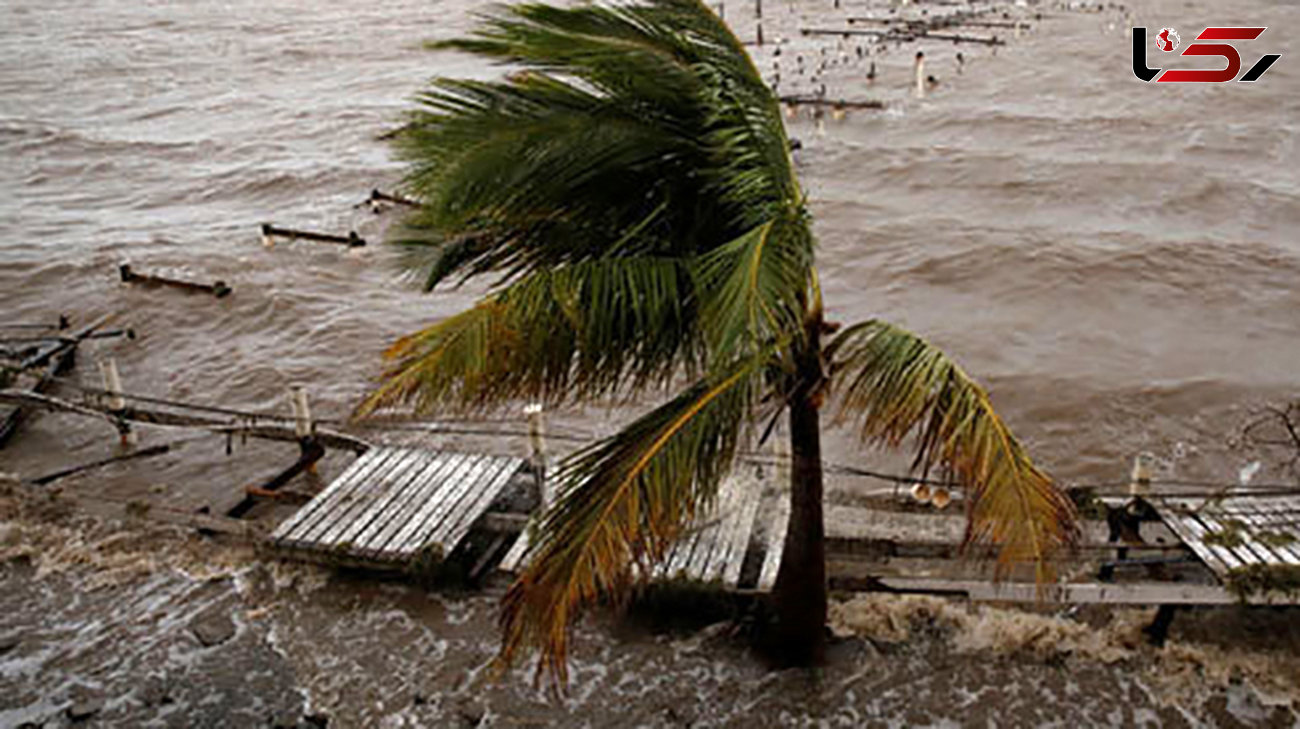 تخریب تمامی شبکه‌های برق در پورتوریکو بر اثر توفان سهمگین ماریا+ تصاویر 