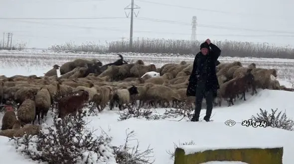 خوشحالی مردم پارس آباد با بارش اولین برف زمستانی