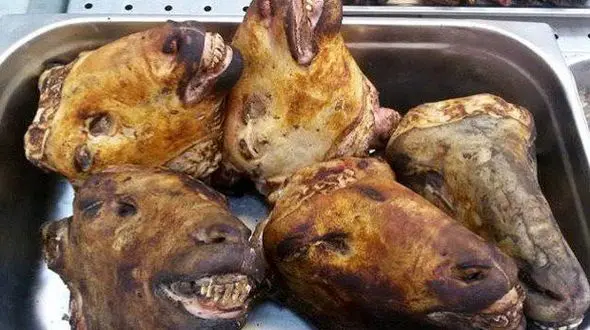 کشف 2تن کله پاچه غیربهداشتی در کاشمر