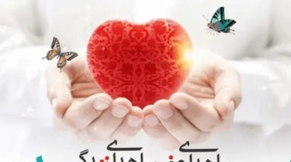دختر 16 ساله سنندجی فرشته نجات شد / همه برای مبینا شریعتی گریستند + جزییات