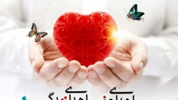 دختر 16 ساله سنندجی فرشته نجات شد / همه برای مبینا شریعتی گریستند + جزییات