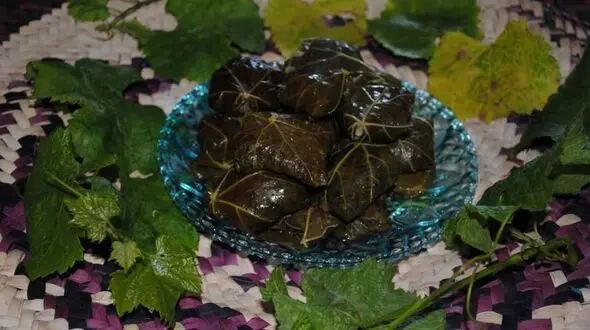 جدول تغذیه ای انواع دلمه + جدول برنامه رژیمی با دلمه 
