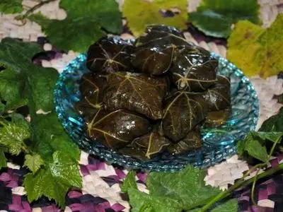جدول تغذیه ای انواع دلمه + جدول برنامه رژیمی با دلمه 