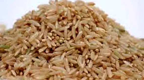 مزایا و معایب مصرف برنج قهوه ای