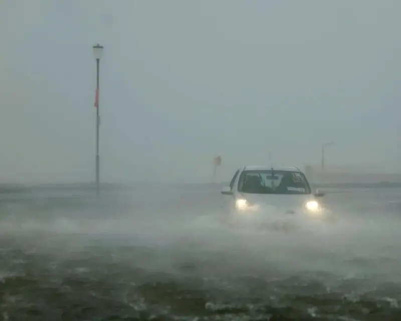 Storm Amy-London’s royal parks1