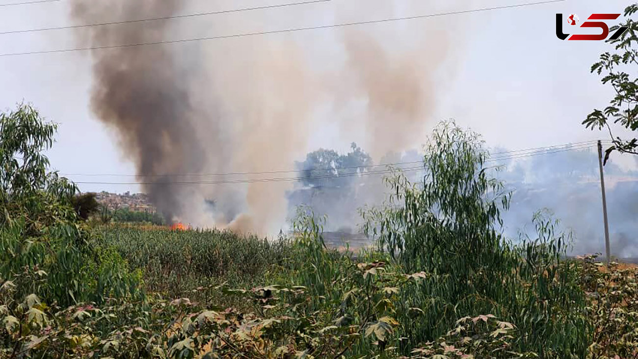 آتش سوزی گسترده در زمین‌های غرب رودخانه دزفول