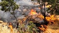 آتش‌سوزی در پارک ملی دز مهار شد