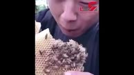 این مرد کندوی عسل را با زنبورهایش گاز می زند! + فیلم