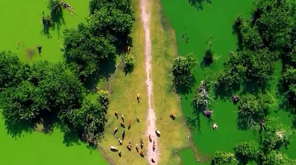 از بهترین هوا در گردنه حیران تا تالاب استیل در آستارا