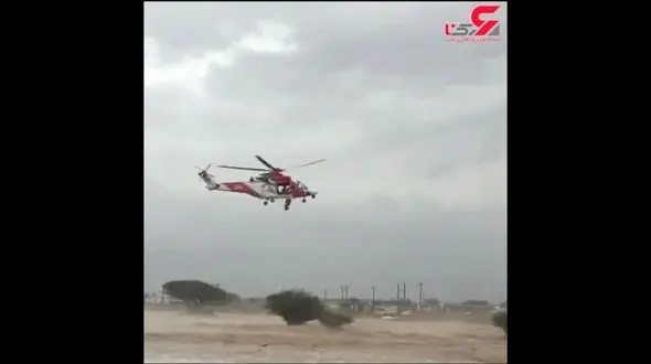 فیلمی دلهره آور از پناه بردن یک سیل زده به درخت تنومند