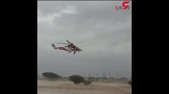 فیلمی دلهره آور از پناه بردن یک سیل زده به درخت تنومند