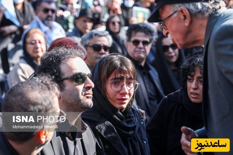 مهرجویی